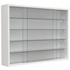 HÄNGEVITRINE in Weiß  - Transparent/Weiß, Design, Glas/Holzwerkstoff (75/55/12cm) - MID.YOU