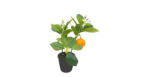 ORANGENBAUM Orange 32 cm - Schwarz/Orange, Basics, Kunststoff/Textil (32cm) - Ambia Home