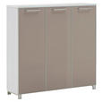 SCHUHSCHRANK Santina  in 126/126/37 cm  - Taupe/Chromfarben, Design, Glas/Holzwerkstoff (126/126/37cm) - Novel