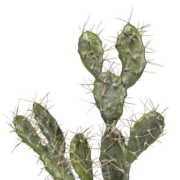 KUNSTPFLANZE Kaktus - echtwirkende Stacheln