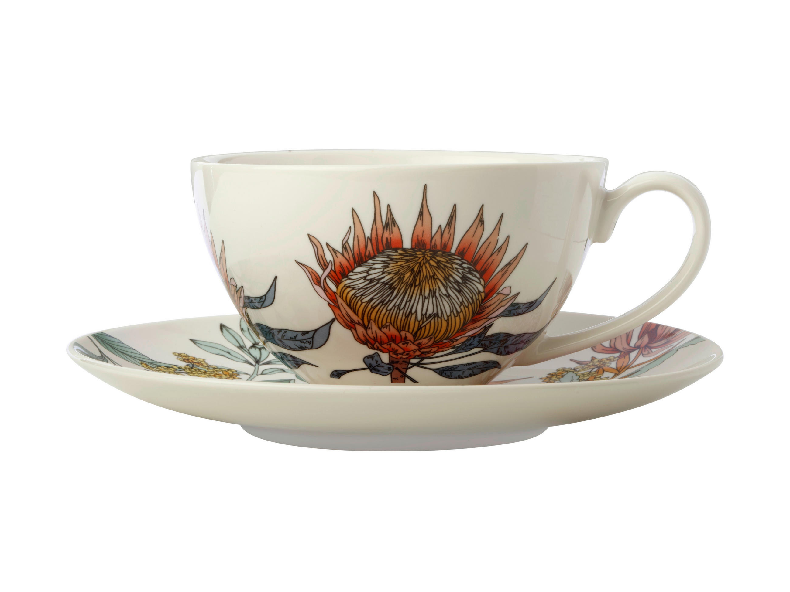 ŠÁLEK S PODŠÁLKEM  - Basics, keramika - Maxwell & Williams