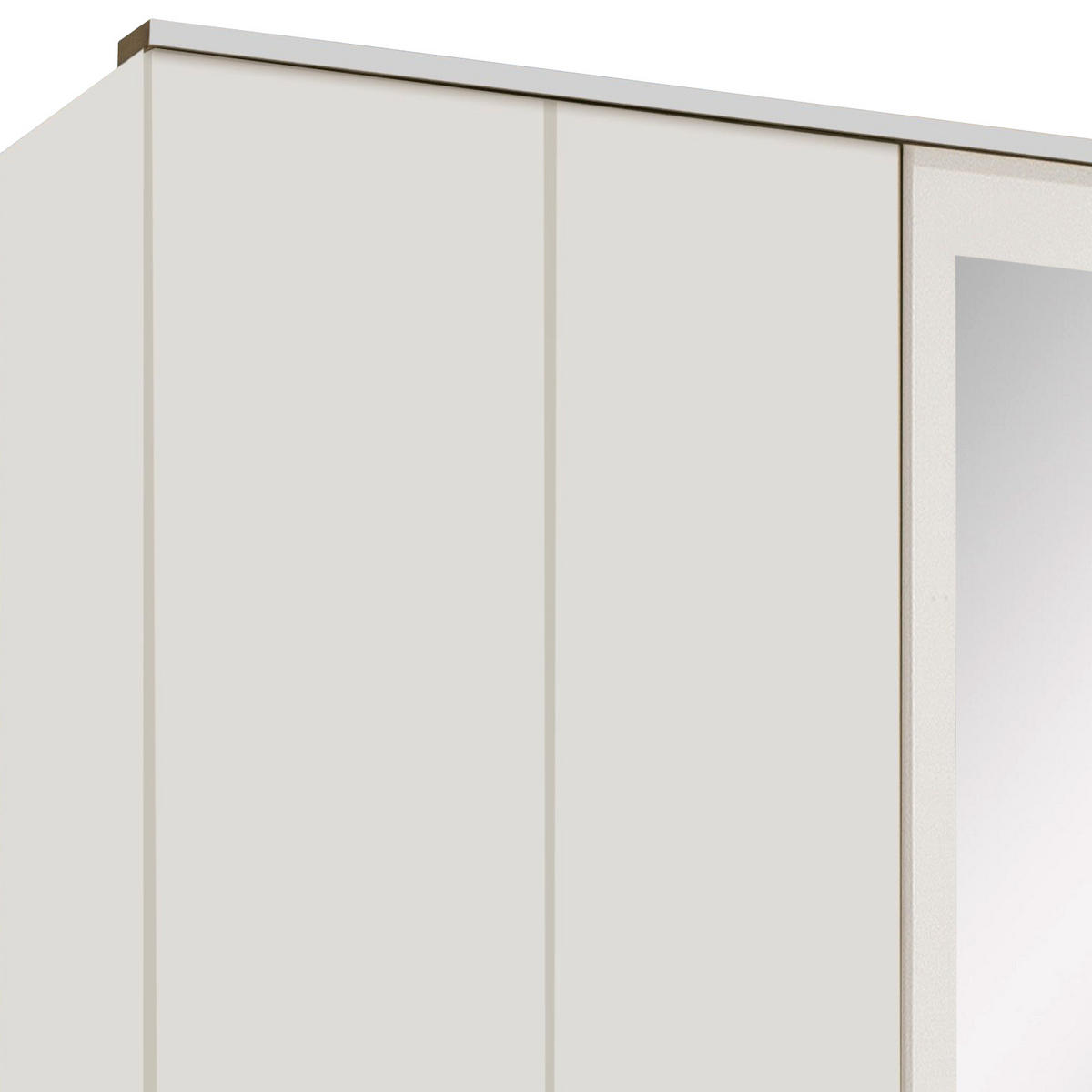 KLEIDERSCHRANK in Weiss  - Weiss/Silberfarben, Konventionell, Glas/Holzwerkstoff (225/210/58cm) - MID.YOU