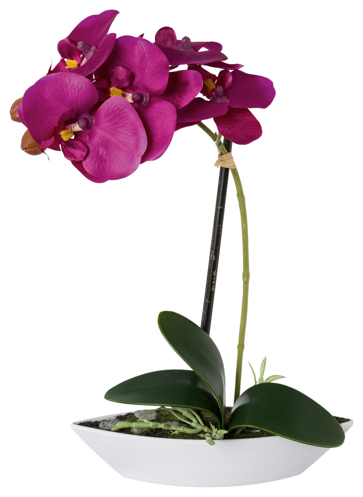 ORCHIDEEN-SET 2TLG. Orchidee 30 cm  - Lila/Weiß, Design, Keramik/Kunststoff (30cm)