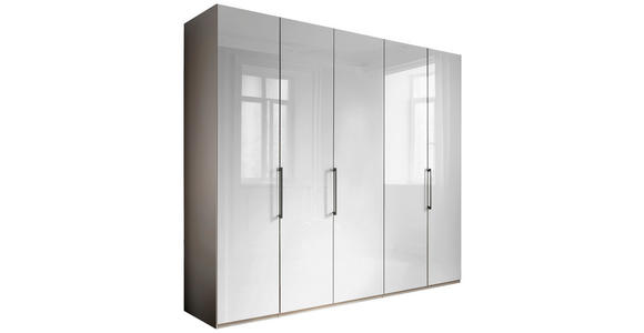 KLEIDERSCHRANK 250/236/58 cm 5-türig Weiß, Grau - Schieferfarben/Weiß, KONVENTIONELL, Glas/Holzwerkstoff (250/236/58cm) - Novel