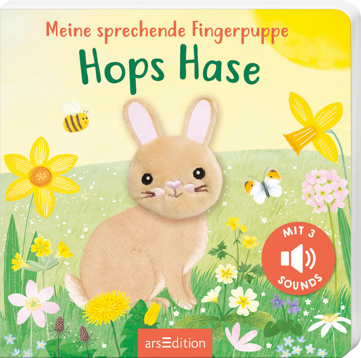 BUCH  - Multicolor, Basics, Papier (16,5/16,5/1cm)