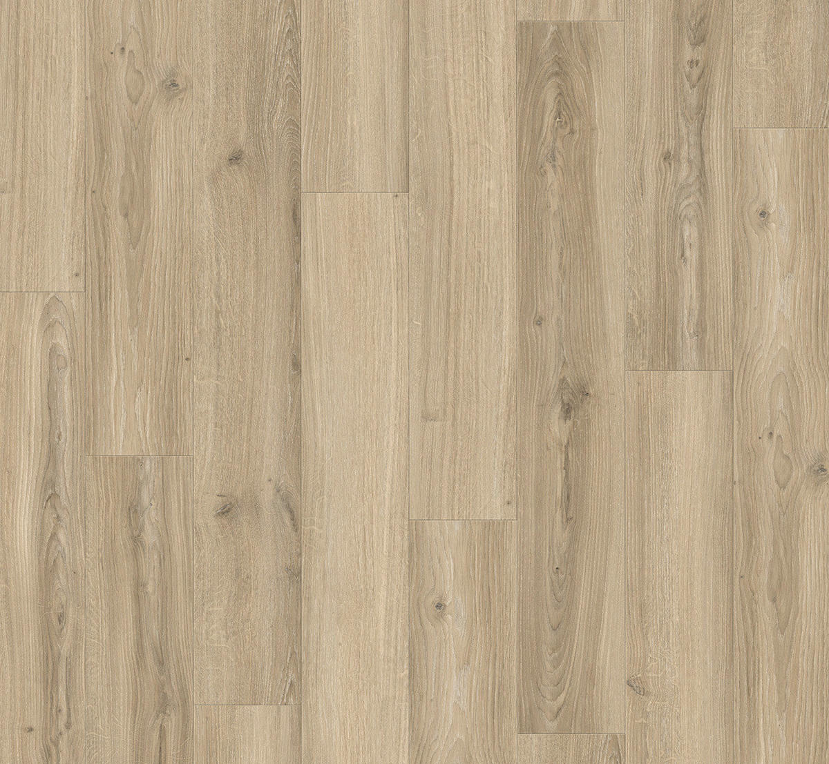 LAMINATBODEN Laminat Basic 400  per  m² - Eichefarben, Basics, Holzwerkstoff (128.5/19.4/0.8cm) - Parador