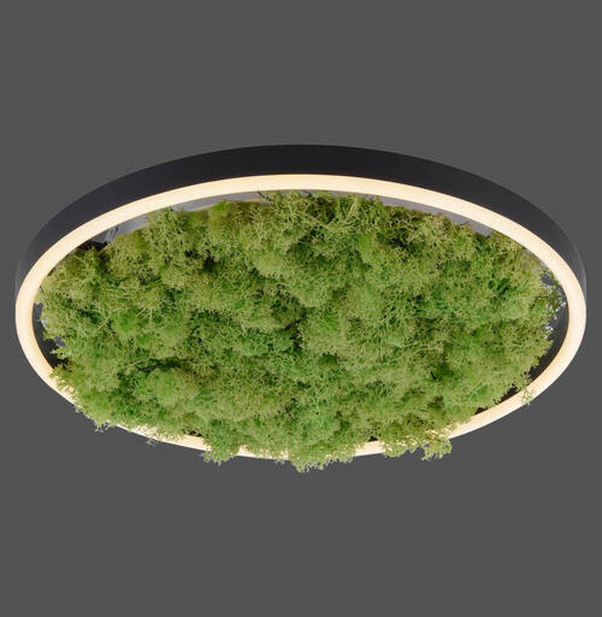 LED-DECKENLEUCHTE Ritus 39,3/39,3/5,3 cm   - Naturfarben, Natur, Naturmaterialien/Kunststoff (39,3/39,3/5,3cm)