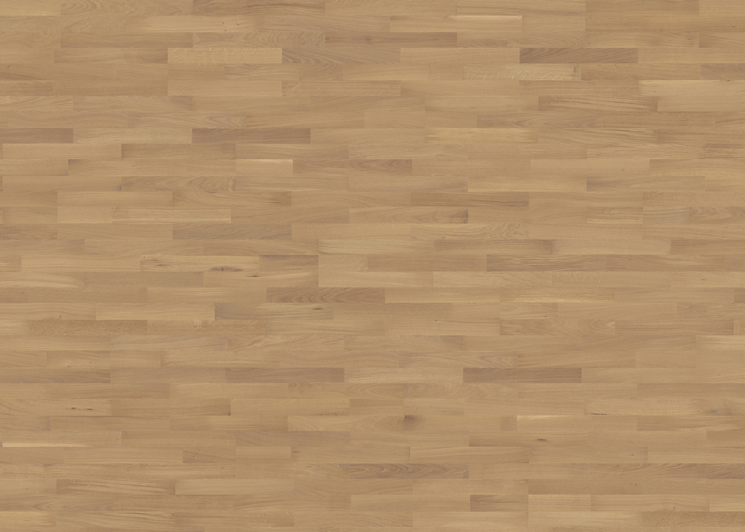 PARKETTBODEN Living by HARO PARKETT 2500 SB  per  m² - Hellbraun, Basics, Holzwerkstoff (18/220cm) - Living by HARO