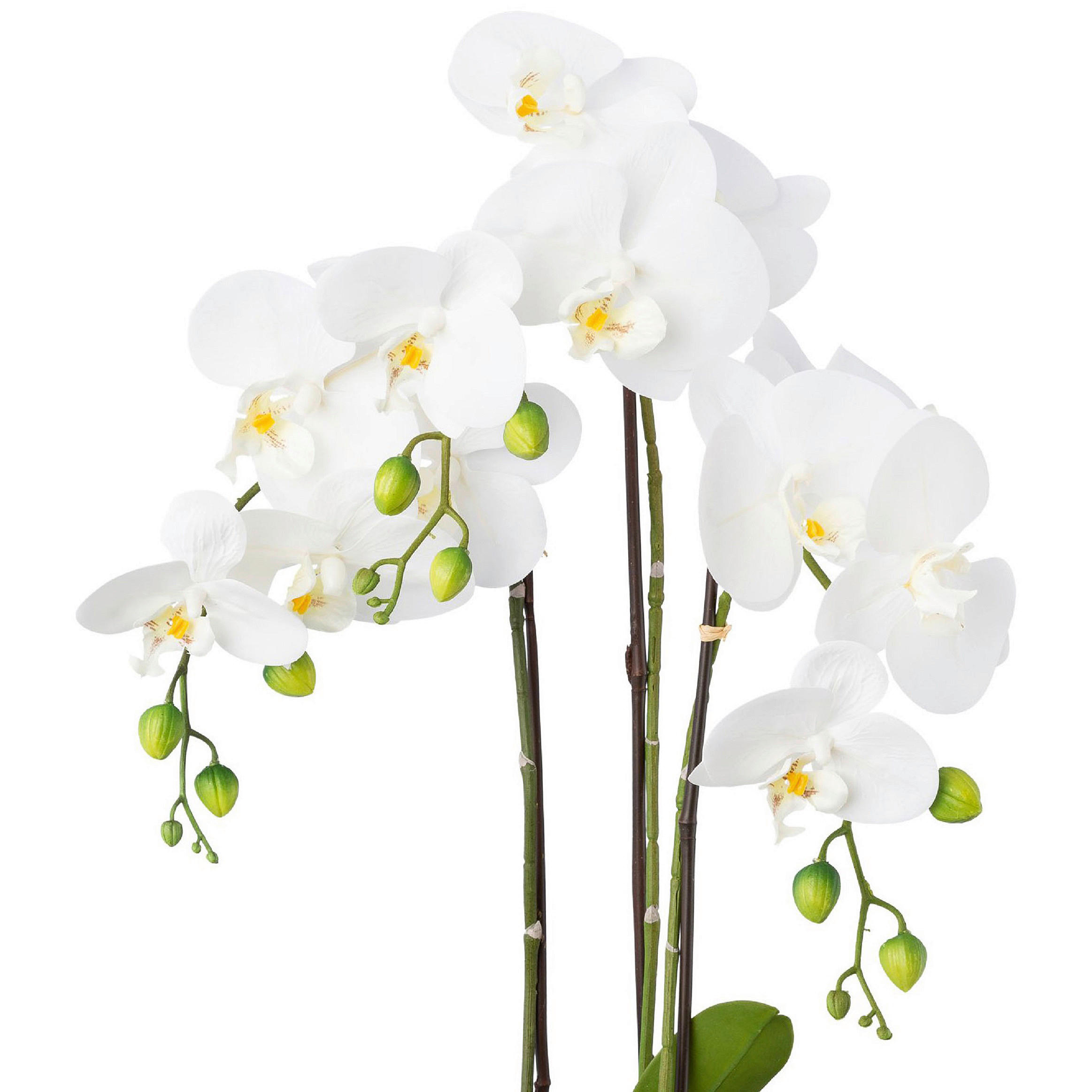 KUNSTPFLANZE Orchidee 55 cm  - Silberfarben/Weiß, Design, Keramik/Kunststoff (55cm) - P & B