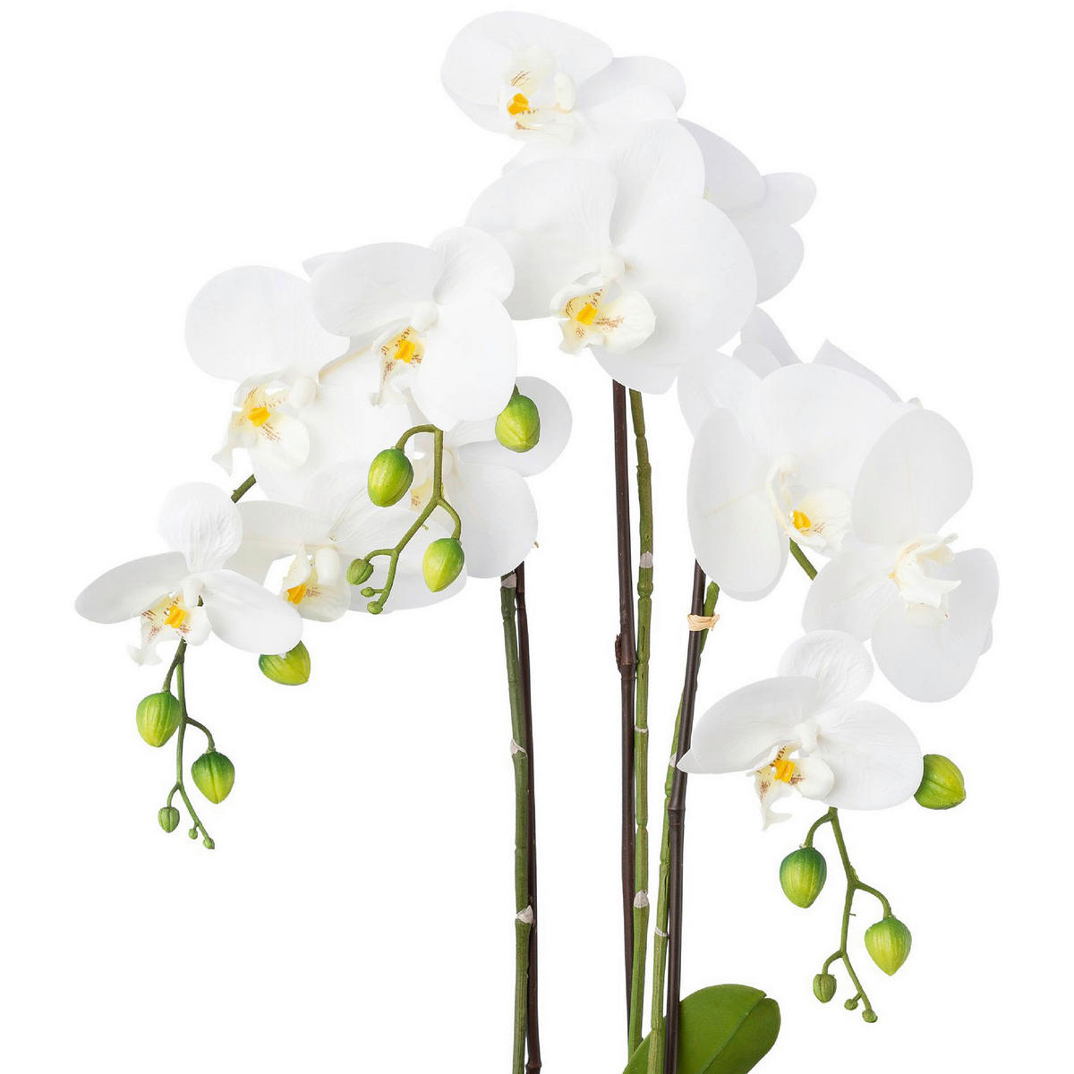 KUNSTPFLANZE Orchidee 55 cm  - Silberfarben/Weiß, Design, Keramik/Kunststoff (55cm) - P & B