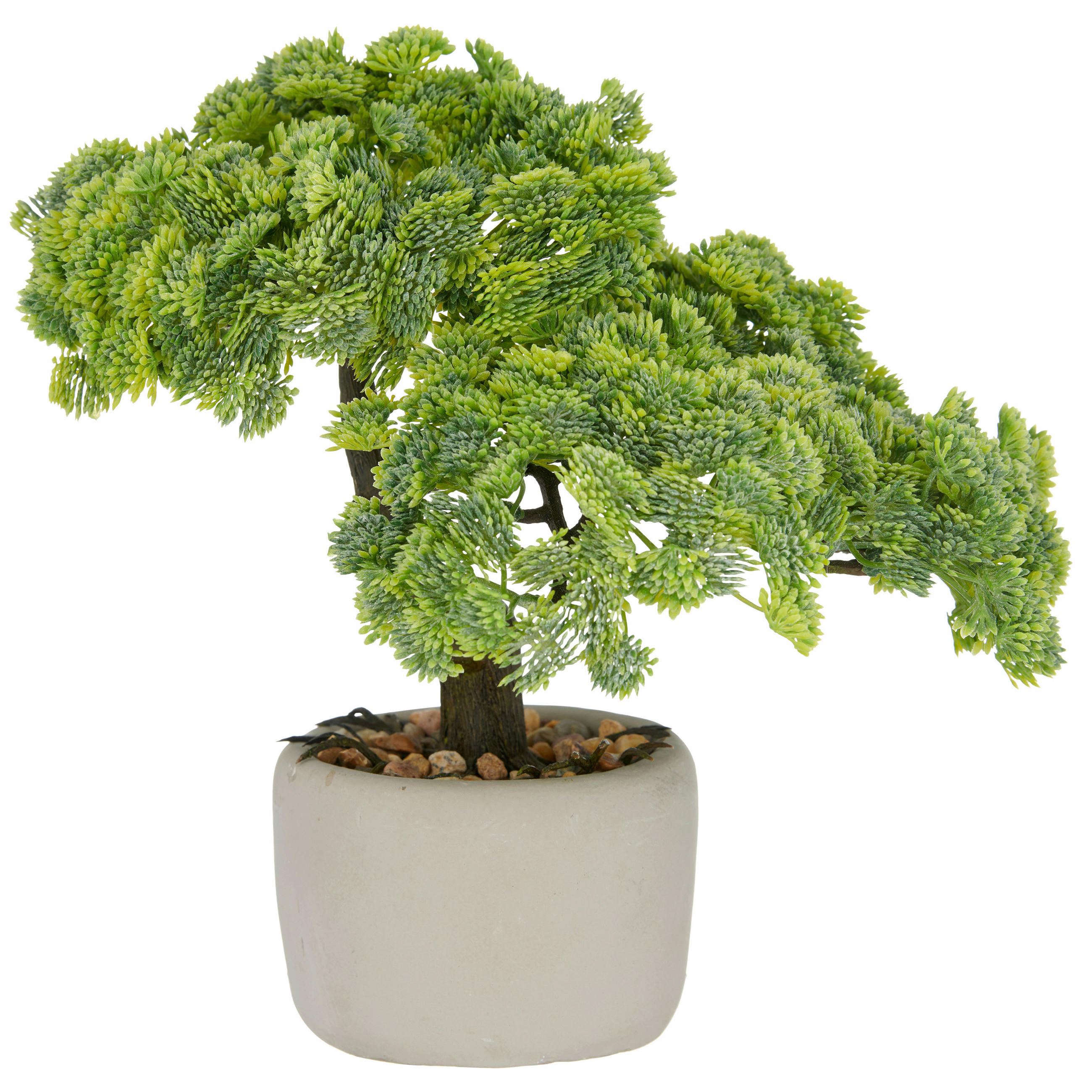 BONSAI Bonsai 26 cm  - Braun/Grau, Basics, Kunststoff/Stein (26cm) - P & B