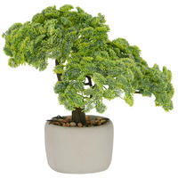 BONSAI Bonsai 26 cm  - Braun/Grau, Basics, Kunststoff/Stein (26cm) - P & B