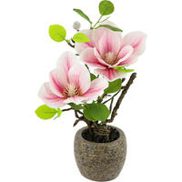MAGNOLIE  - Rosa, Basics (13/33cm)