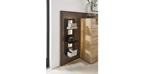 HIGHBOARD 198/145,1/47,2-55,2 cm - Eichefarben/Rostfarben, Design, Glas/Holz (198/145,1/47,2-55,2cm) - Dieter Knoll