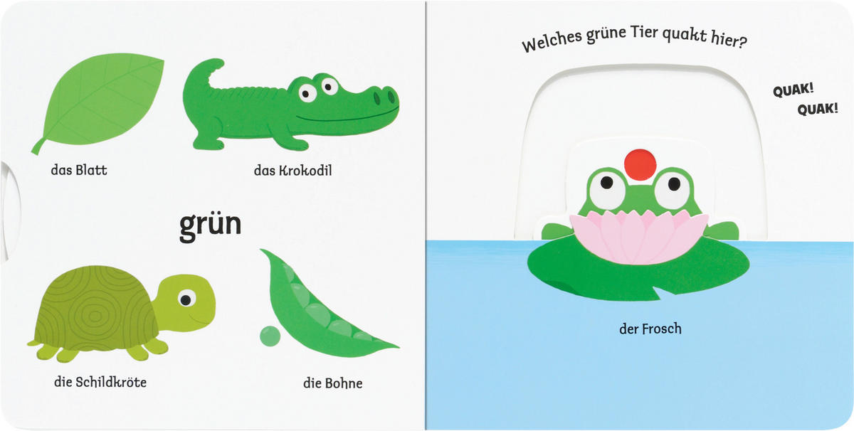 BILDERBUCH Mein erstes Buch von den Farben  - Basics (17/17/1,8cm)