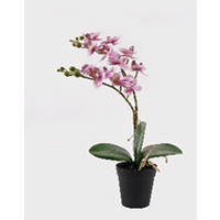 MŰNÖVÉNY - lila/fehér, Basics, műanyag