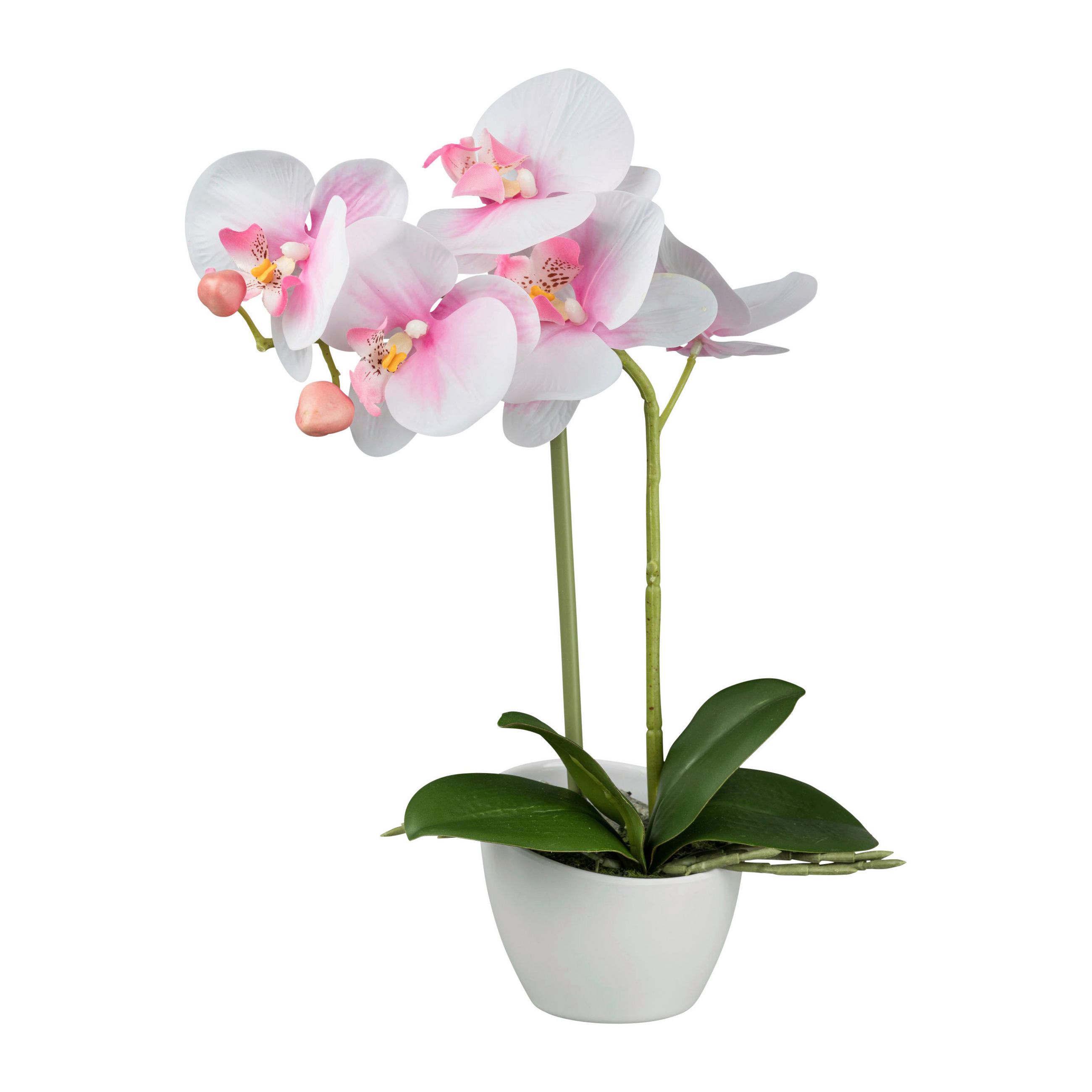 KUNSTPFLANZE Orchidee 33 cm  - Rosa/Weiß, Design, Kunststoff (33cm)