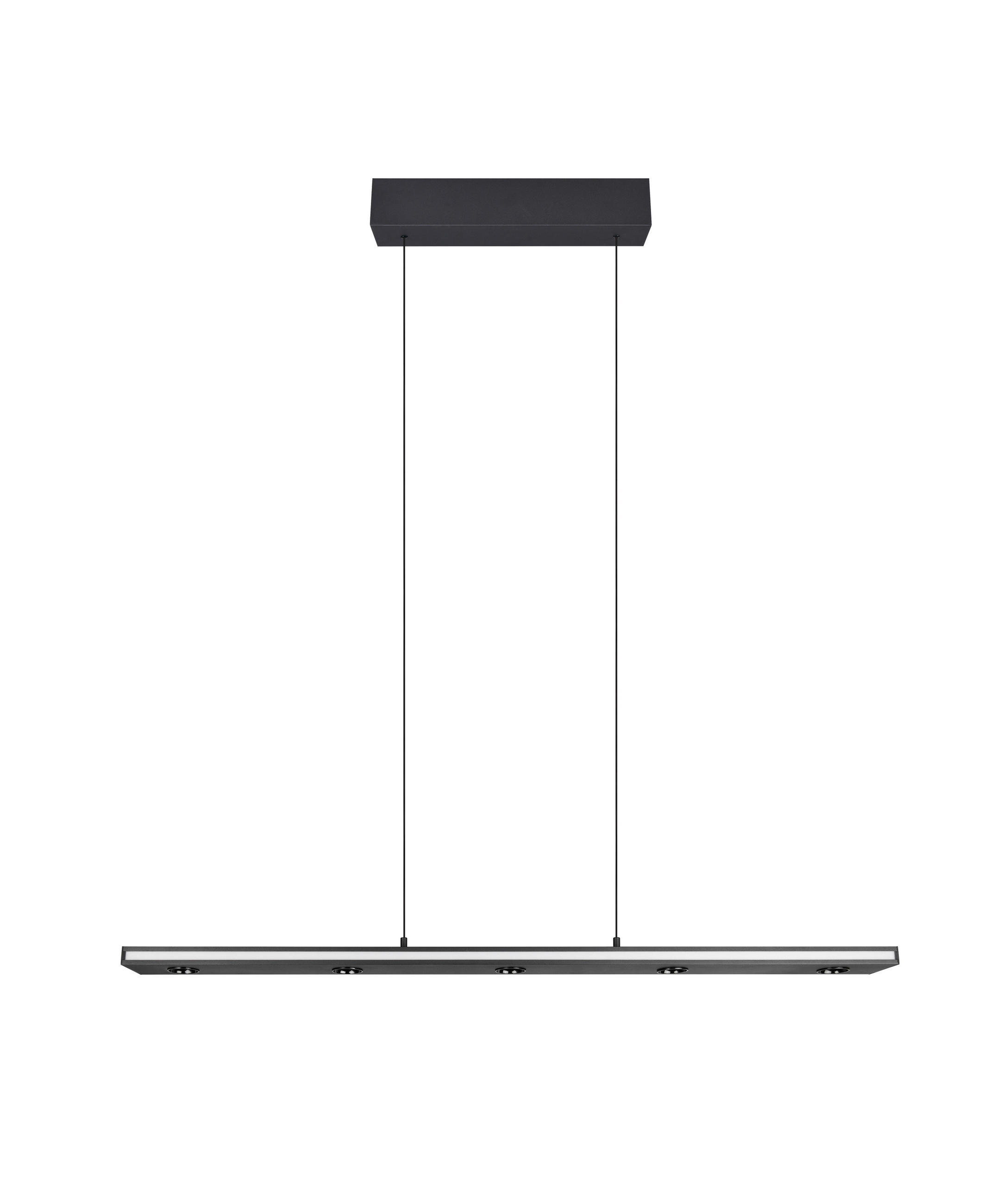 LED-PENDELLEUCHTE 109/9/200 cm   - Schwarz/Weiß, Design, Kunststoff/Metall (109/9/200cm) - Trio Leuchten