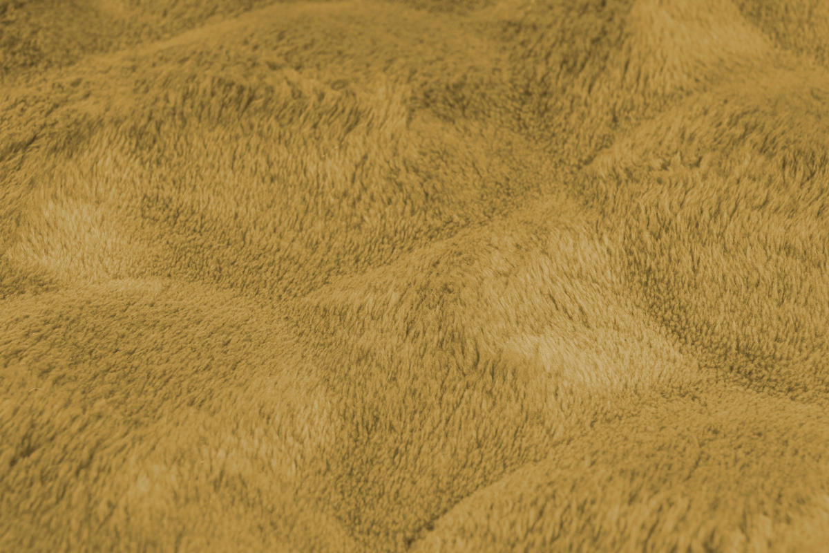 HOCHFLORTEPPICH 80/150 cm Honig rechteckig  - Honig, Basics, Textil (80/150cm) - Kayoom