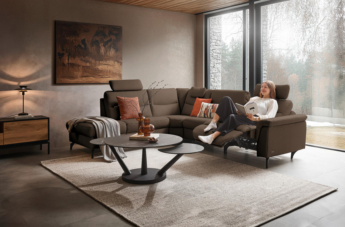 ECKSOFA  in Echtleder Braun  249/280 cm  - Anthrazit/Braun, Design, Leder/Metall (249/280cm) - Himolla Komfortklass