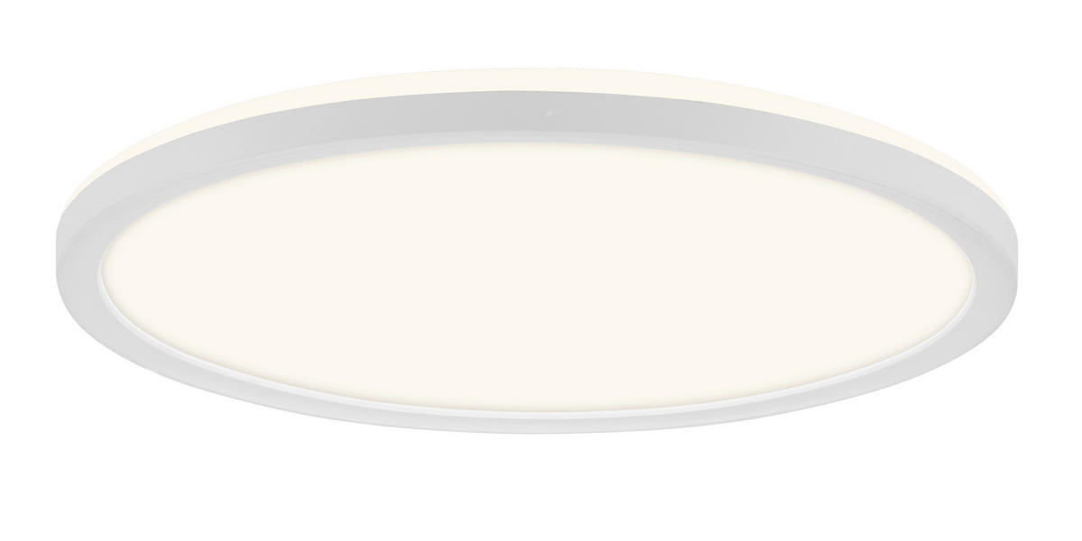 FÜRDŐSZ. LED MENNYEZETI LÁMPA - fehér, Basics, műanyag (42/2,5cm)