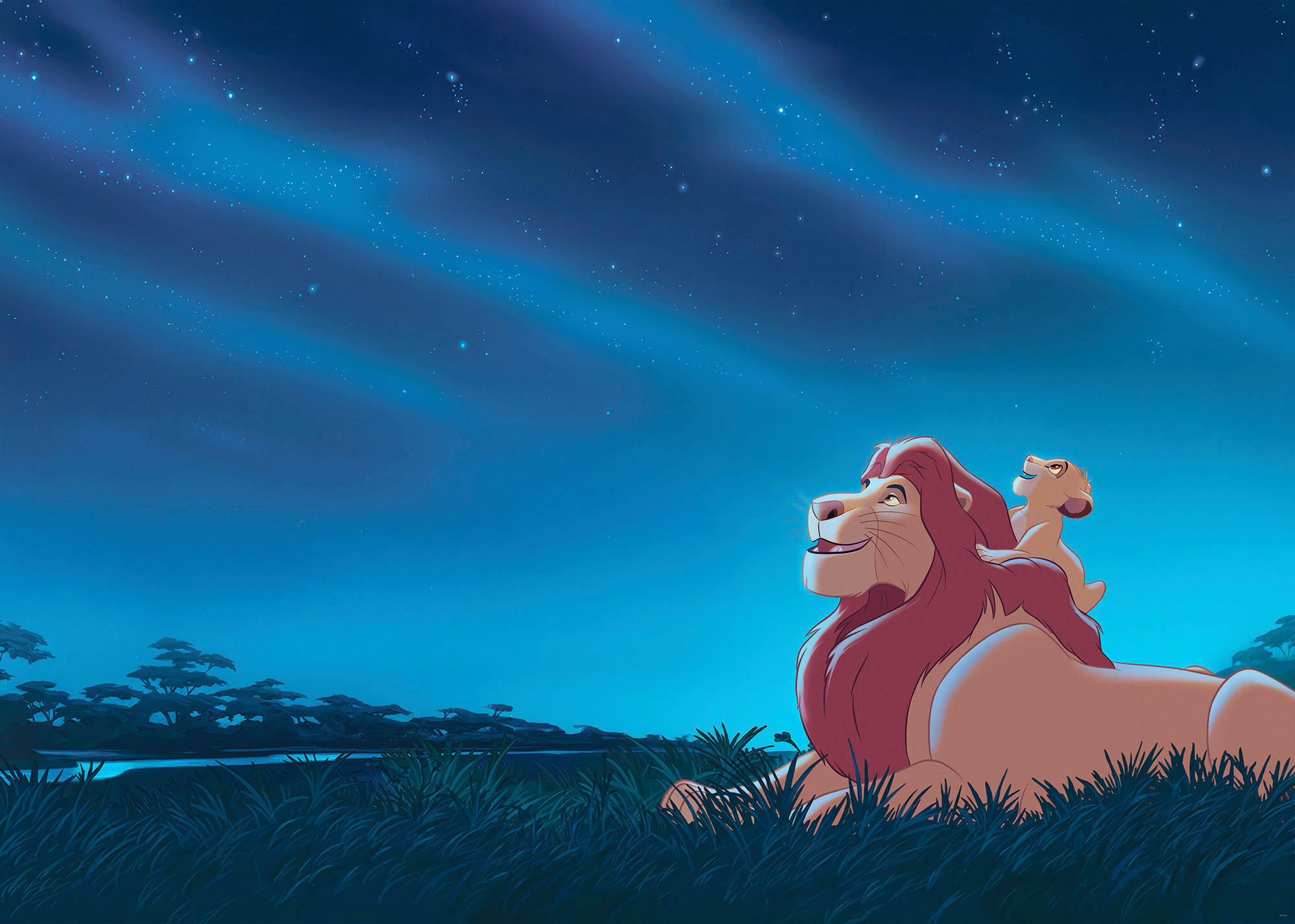 FOTOTAPETE THE LION KING STARGAZING  - Blau, Design, Textil (350/250cm) - Disney