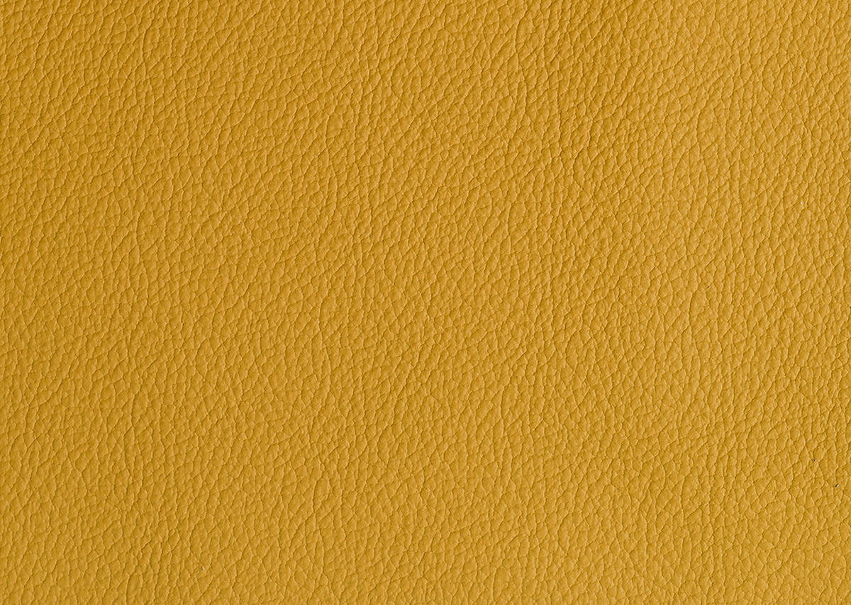 ECKSOFA  in Echtleder Currygelb  260/324 cm  - Currygelb/Schwarz, KONVENTIONELL, Leder/Kunststoff (260/324cm) - Cantus