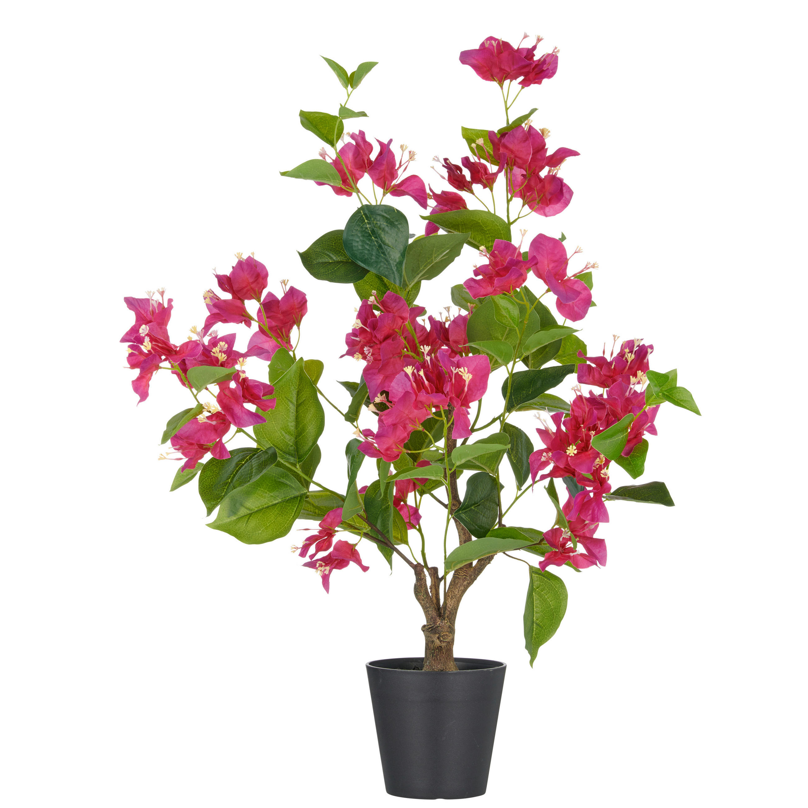 KUNSTPFLANZE Bougainvillea  - Pink/Schwarz, Basics, Kunststoff (20/68/20cm) - P & B