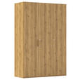 DREHTÜRENSCHRANK 151/223/60 cm 3-türig Eichefarben  - Eichefarben/Silberfarben, Design, Holzwerkstoff/Kunststoff (151/223/60cm) - Novel