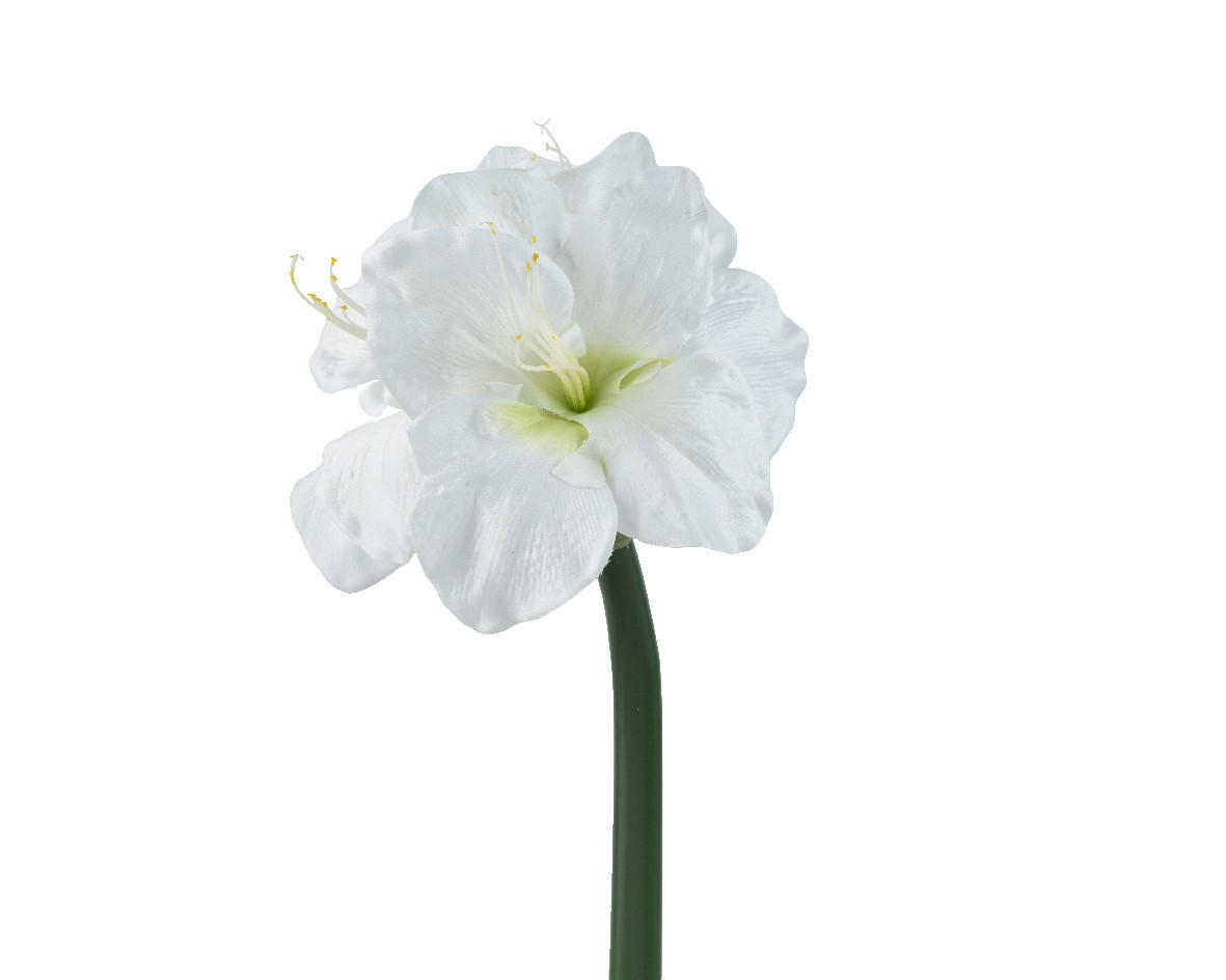 MŰVIRÁG - Basics (18,00/13,00/60,00cm)