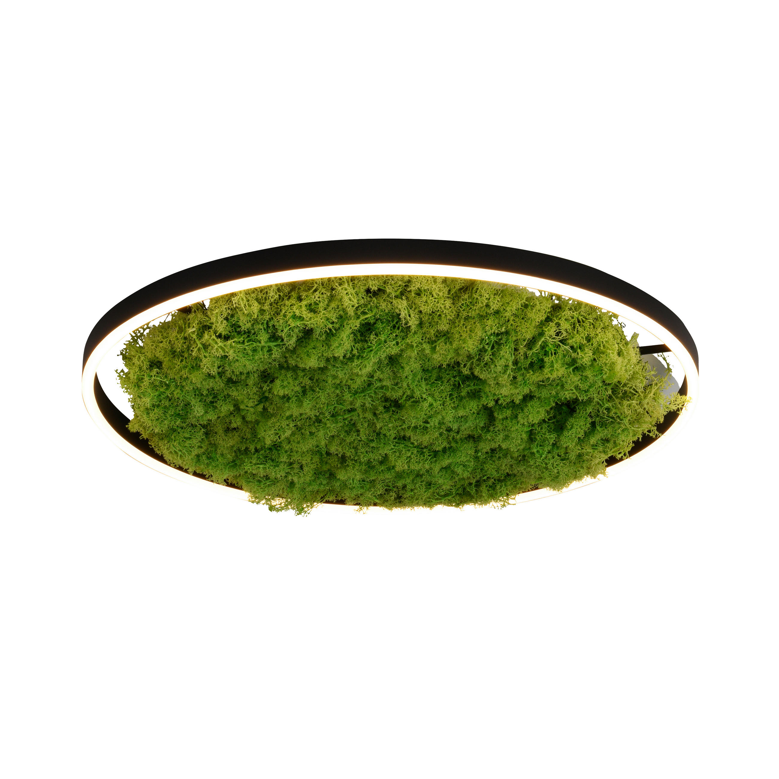 WANDLEUCHTE Ritus 58,5/58,5/5,3 cm   - Natur, Naturmaterialien/Kunststoff (58,5/58,5/5,3cm)
