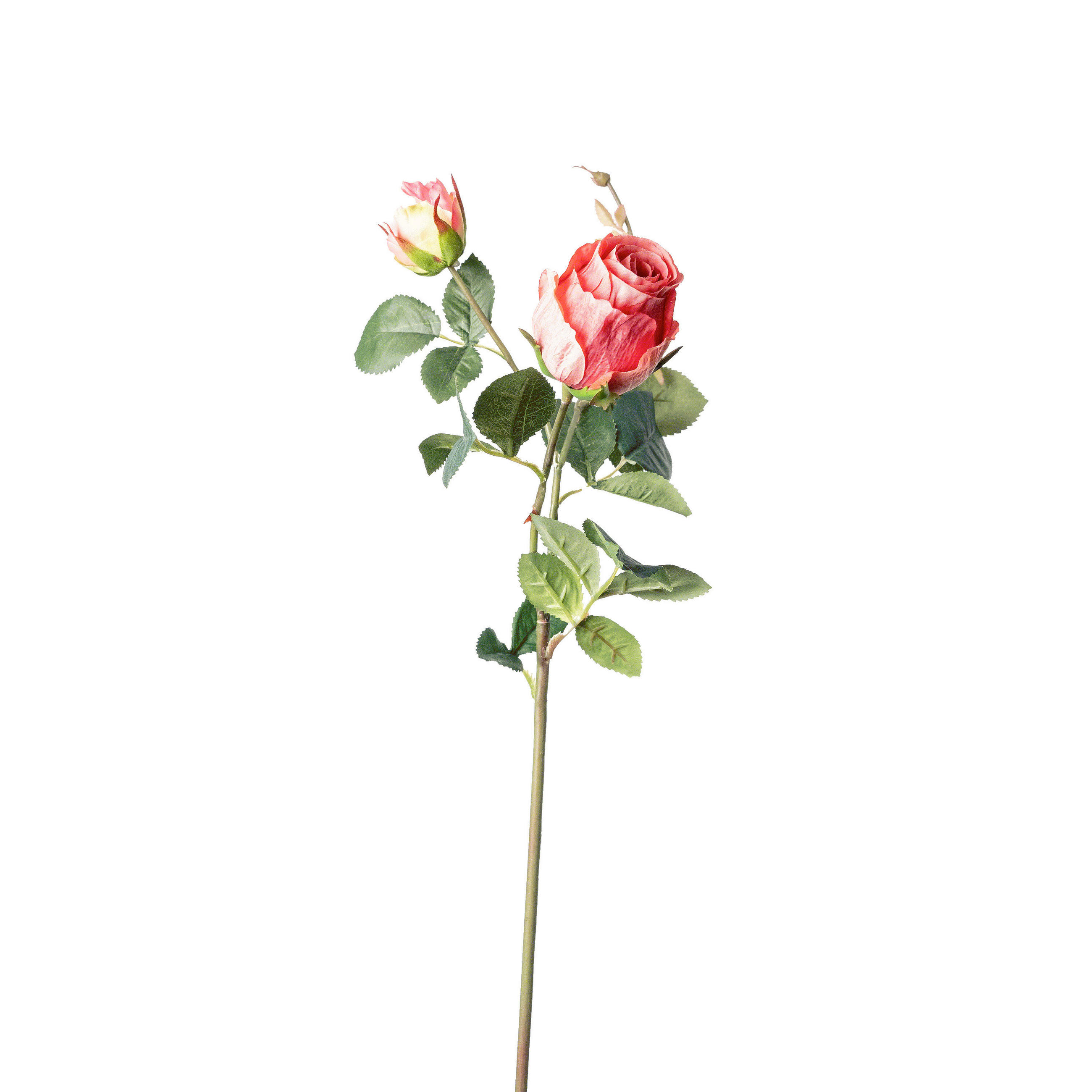 TRANDAFIR - verde/roz, Basics, plastic (80cm)