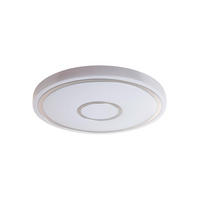 LED MENNYEZETI LÁMPA - fehér, Basics, műanyag/fém (38cm)