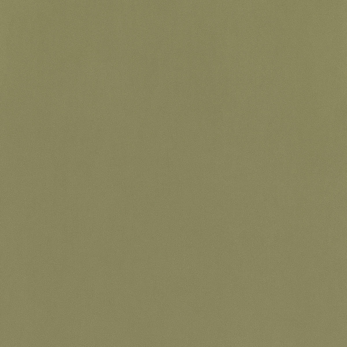 HOTOVÝ ZÁVĚS, 140/245 cm - zelená, Basics, textil (140/245cm) - Esposa