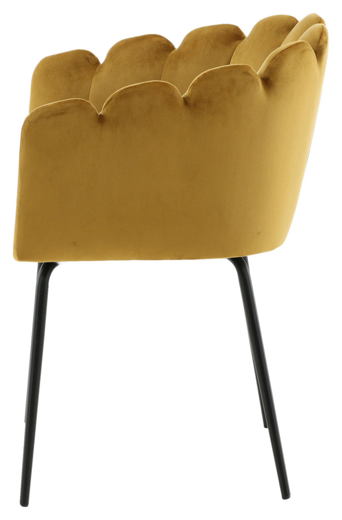 STUHL Samt Gelb  - Gelb, Design, Textil/Metall (61/76.56/54cm) - Livetastic