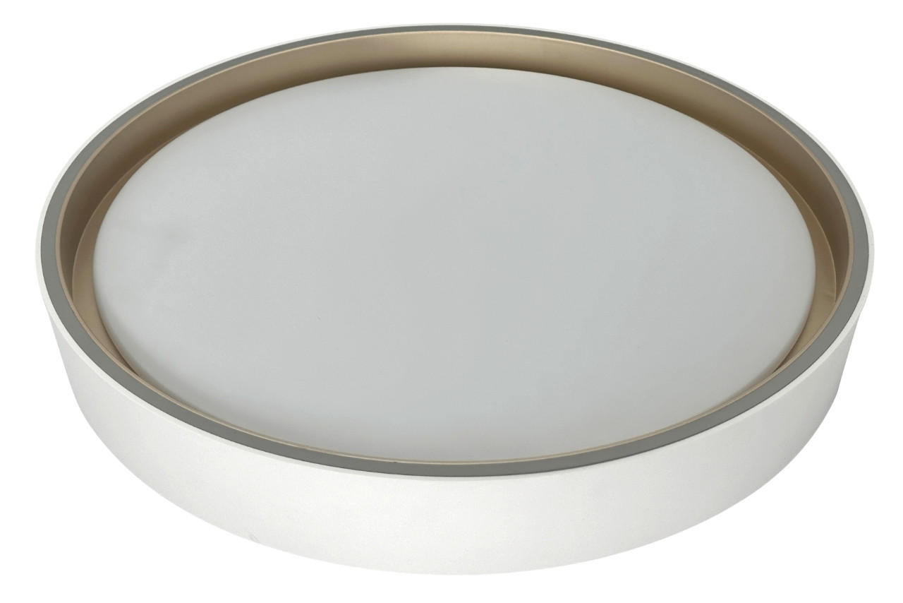 STROPNA LED-SVETILKA  LEAH /1440 lm/3000/4000/6500 K// - bela, Basics, umetna masa (40/8cm)