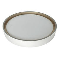 STROPNA LED-SVETILKA  LEAH /1440 lm/3000/4000/6500 K// - bela, Basics, umetna masa (40/8cm)
