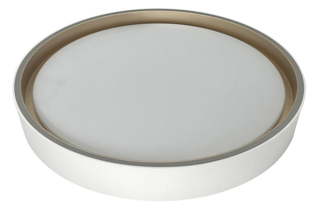 STROPNA LED-SVETILKA  LEAH /1440 lm/3000/4000/6500 K// - bela, Basics, umetna masa (40/8cm)