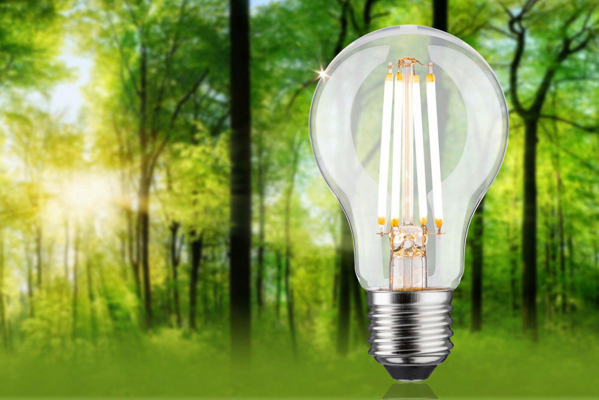 ENERGIESPAR-LEUCHTMITTEL - Klar, Basics, Glas (6,0/10,5cm) - Paulmann