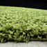 HOCHFLORTEPPICH - Grün, Basics, Textil (80/80cm) - Novel HOCHFLORTEPPICH - Grün, Basics, Textil (80/80cm) - Novel