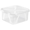 BOX MIT DECKEL    19,8/16,5/8,9 cm  - Transparent, KONVENTIONELL, Kunststoff (19,8/16,5/8,9cm) - Rotho