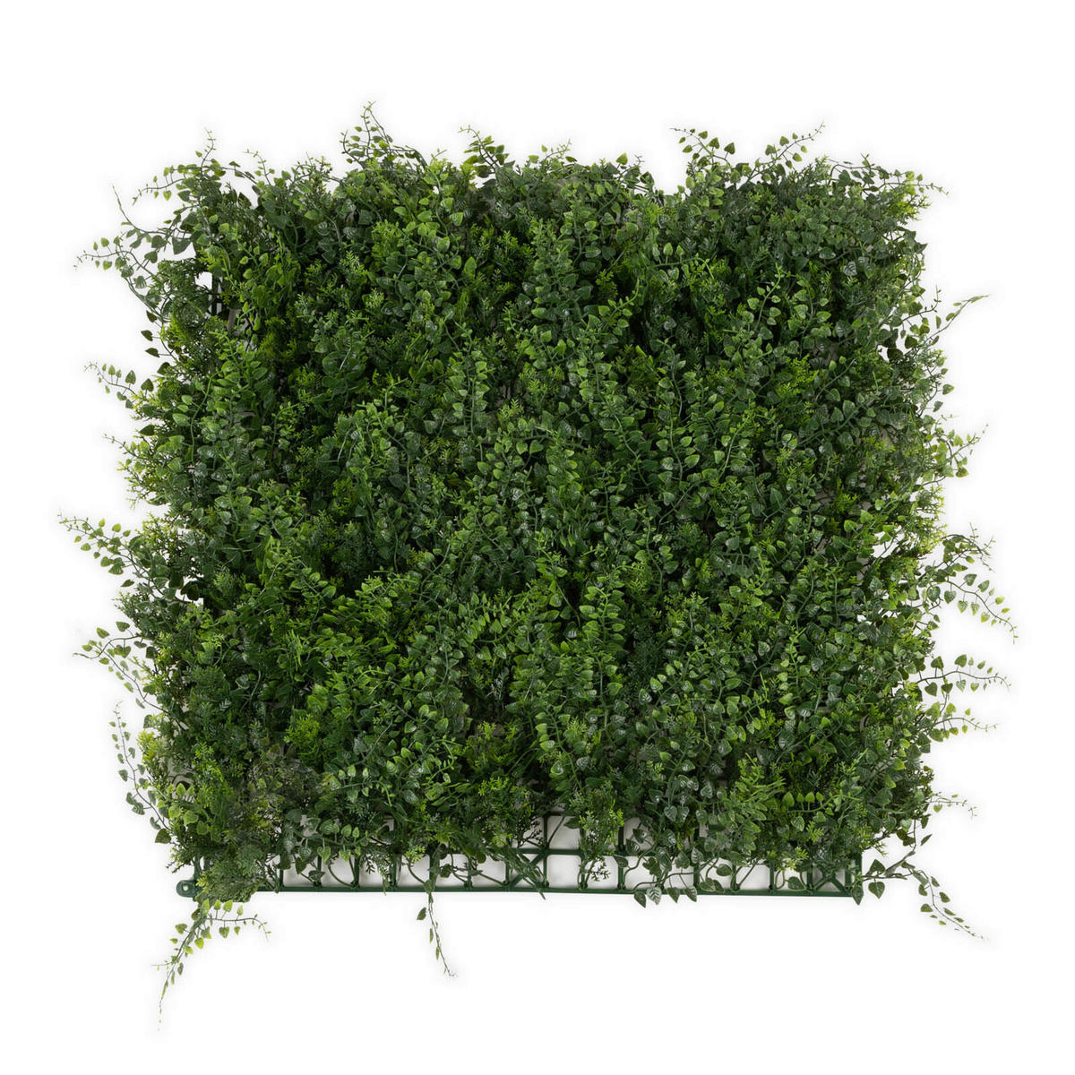 WANDVERKLEIDUNG  - Dunkelgrün/Jadegrün, Trend, Kunststoff (50/50cm) - Floordirekt