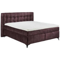 BOXSPRINGBETT 180/200 cm  in Aubergine  - Aubergine/Schwarz, KONVENTIONELL, Kunststoff/Textil (180/200cm) - Modante