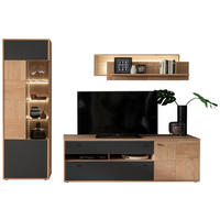 OBÝVACIA STENA, antracitová, dub bianco - čierna/antracitová, Design, kov/drevo (258/207/50cm) - MID.YOU