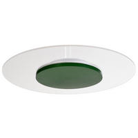 LED-DECKENLEUCHTE Zaniah 42/42/4,5 cm   - Grün, KONVENTIONELL, Kunststoff (42/42/4,5cm)