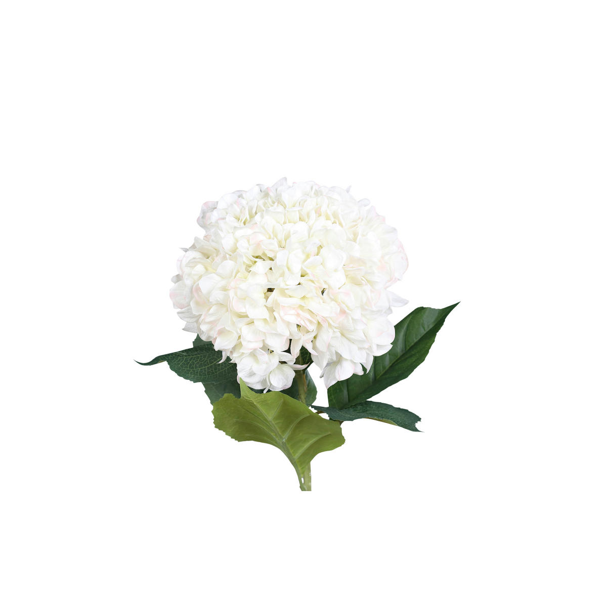 HORTENSIE - Creme/Grün, LIFESTYLE, Kunststoff/Textil (82cm)