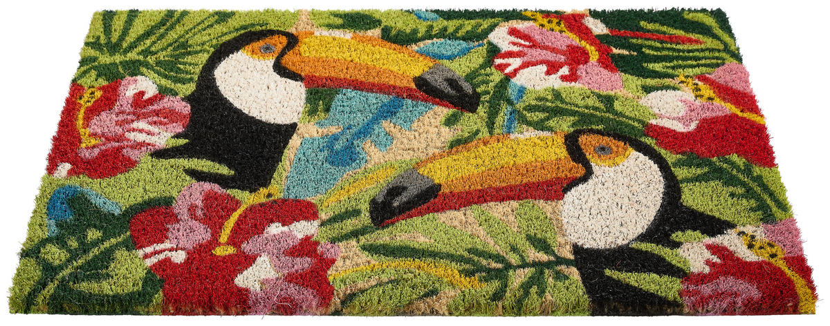 KOKOSMATTE 40/60 cm  - Multicolor, KONVENTIONELL, Naturmaterialien/Kunststoff (40/60cm) - Esposa