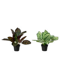 Plantă Artificială - Basics (30,00/30,00/27,00cm)