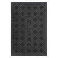 FUßMATTE  40/60 cm  Rot  - Rot, Basics, Kunststoff (40/60cm) - Kayoom