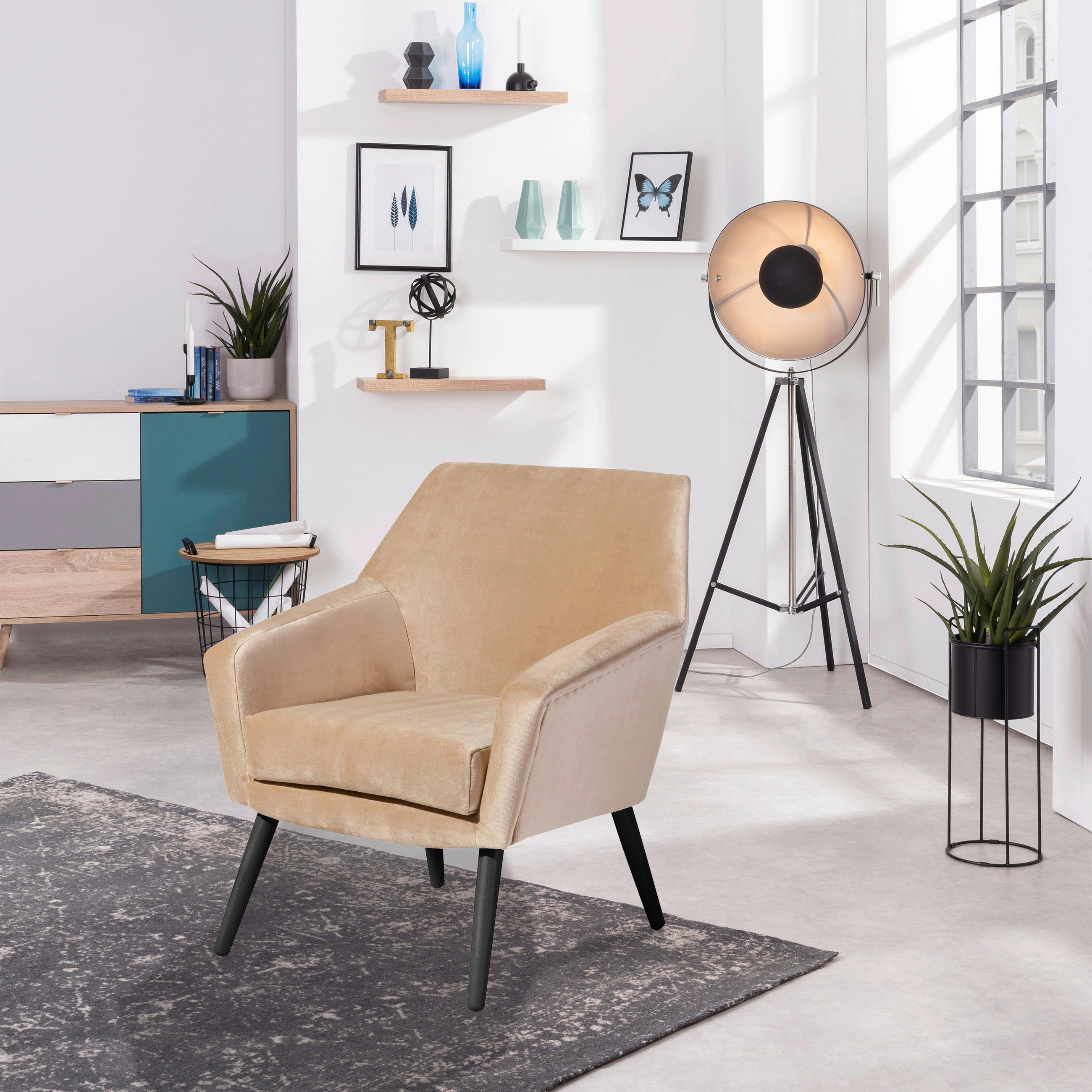 SESSEL in Samt, Velours Schwarz, Sandfarben  - Sandfarben/Schwarz, Design, Holz/Textil (67/81/71cm) - Max Winzer